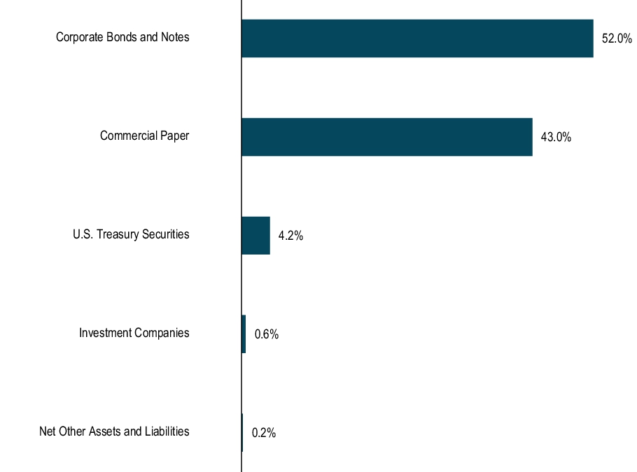 Graphical Representation - Allocation 1 Chart