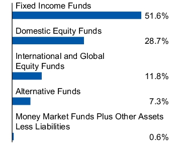 Graphical Representation - Allocation 1 Chart