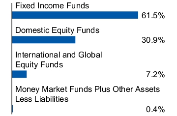 Graphical Representation - Allocation 1 Chart