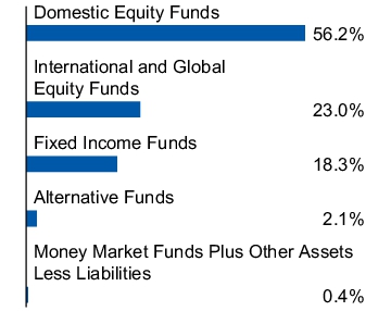Graphical Representation - Allocation 1 Chart