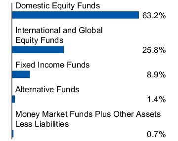 Graphical Representation - Allocation 1 Chart