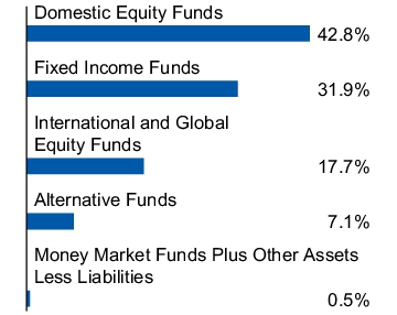 Graphical Representation - Allocation 1 Chart