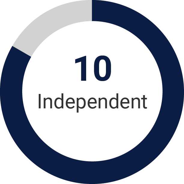 03_GT_DIRECTOR NOMINEES_INDEPENDENCE.jpg