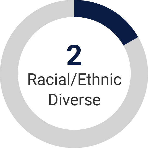 03_GT_DIRECTOR NOMINEES_RACIAL-ETHNIC DIVERSITY.jpg