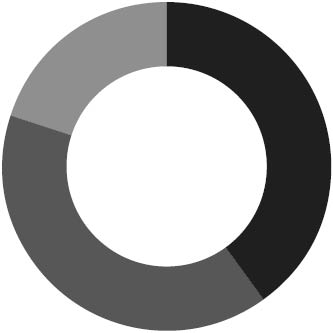 03_GT_pie_Annual Compensation.jpg