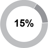 03 HON_pie_CompensationMix_ceoaicp.jpg