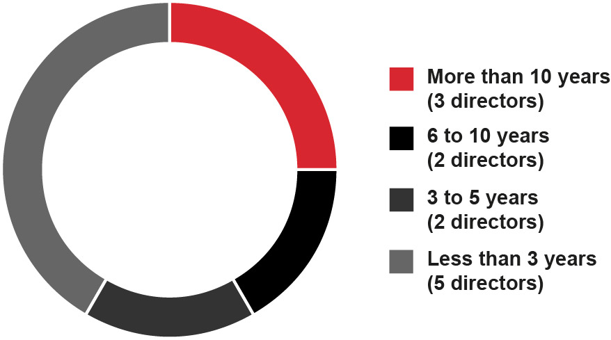 03 PRO013431_piechart_diversityofnominee and tenure.jpg