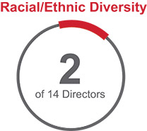 [MISSING IMAGE: pc_ethnicdiversity-pn.jpg]