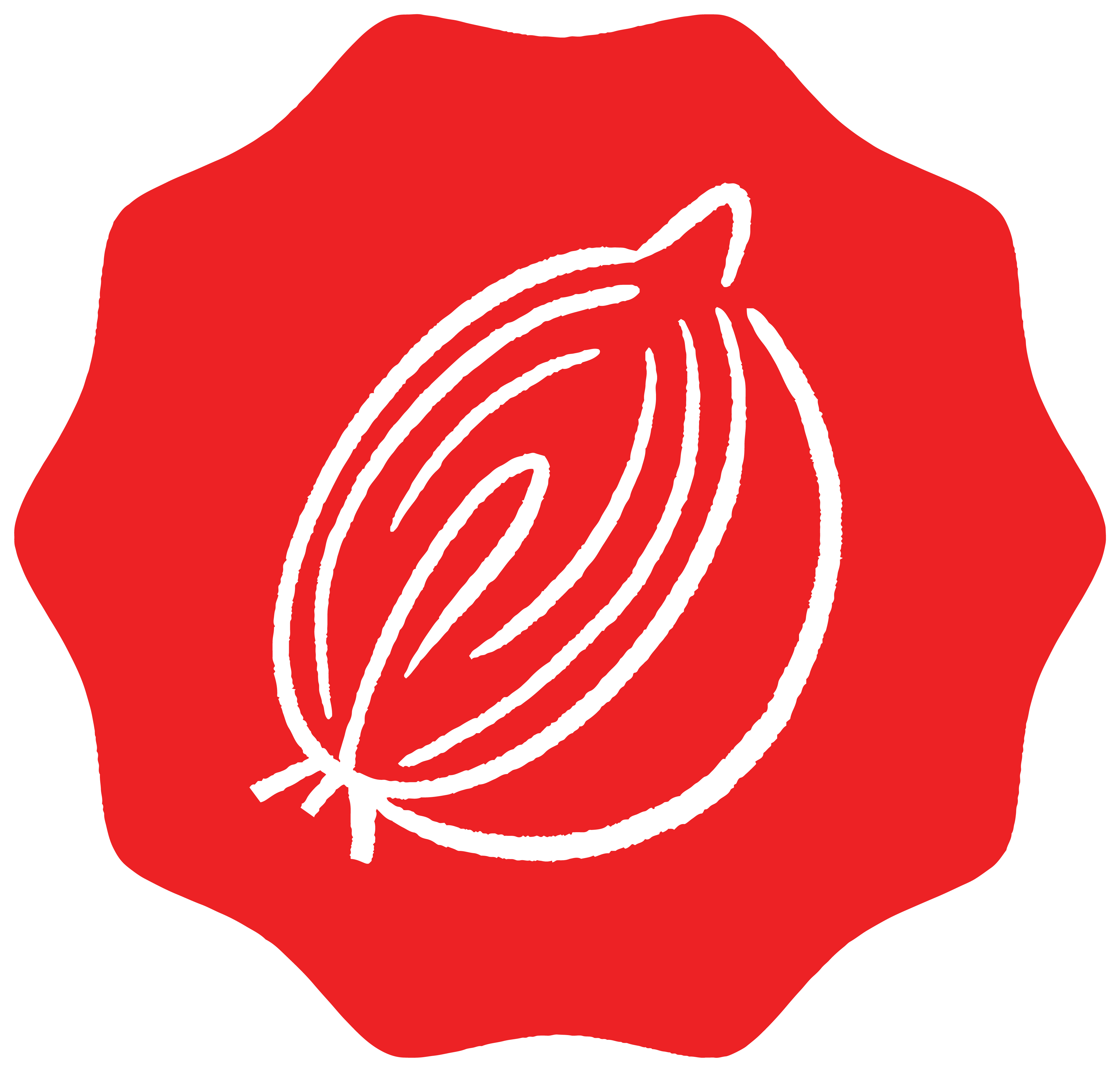 OnionBadge.jpg