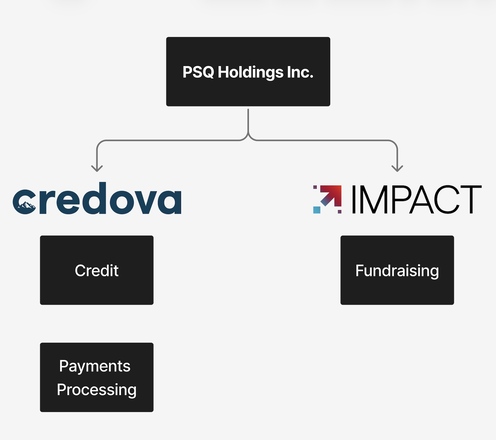 Business Overview PSQH JPEG.jpg