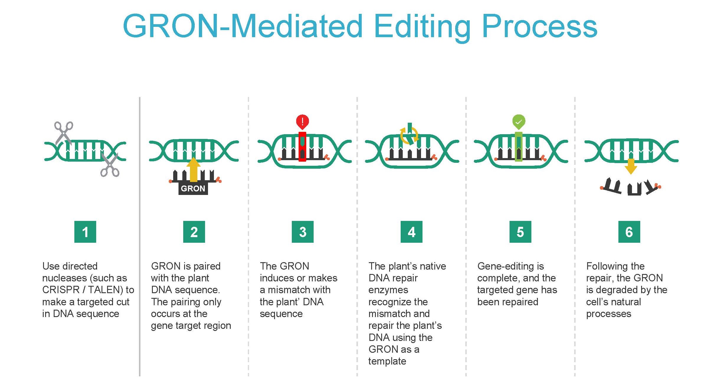 2023-04 Calyxt-CIbus S-4a slide 2 revised.jpg