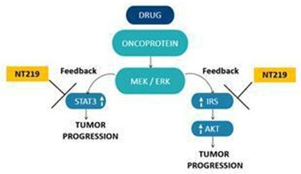 A diagram of a drug  Description automatically generated