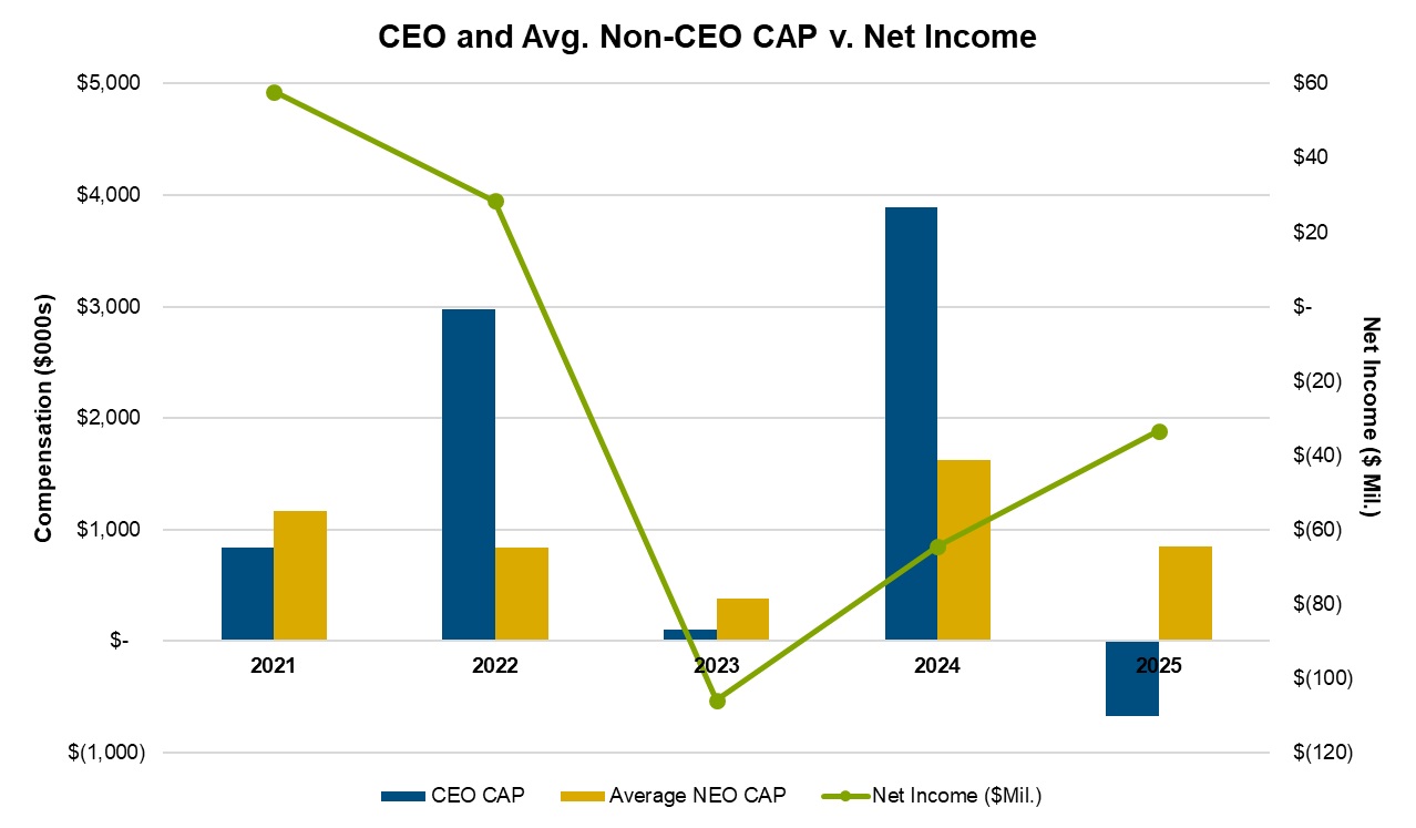 CAP and Company Net Income.jpg