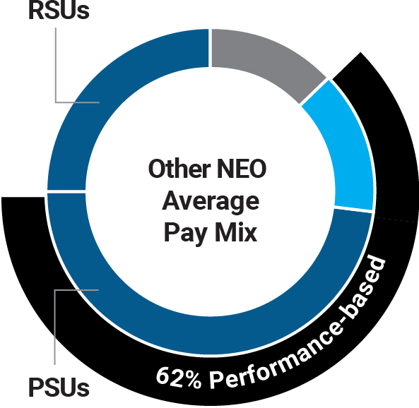 03_438392-3_pie_paymix_CEO copy.jpg