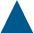 icon_triangle_darkblue.jpg