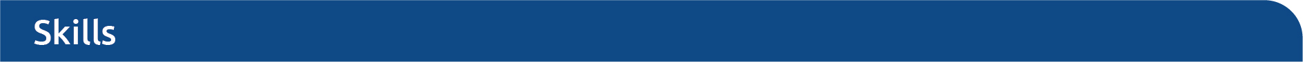 Skills header copy.jpg