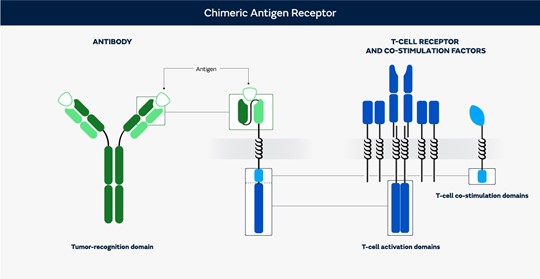 Business overview 2.jpg