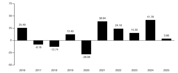 PerformanceBarChartData(2016:25.49,2017:-8.18,2018:-12.74,2019:12.4,2020:-28.08,2021:38.94,2022:24.18,2023:15.3,2024:41.78,2025:3.66)
