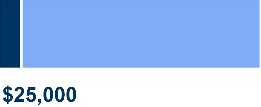 03_CSX_2026_bar_Director compensation-03.jpg