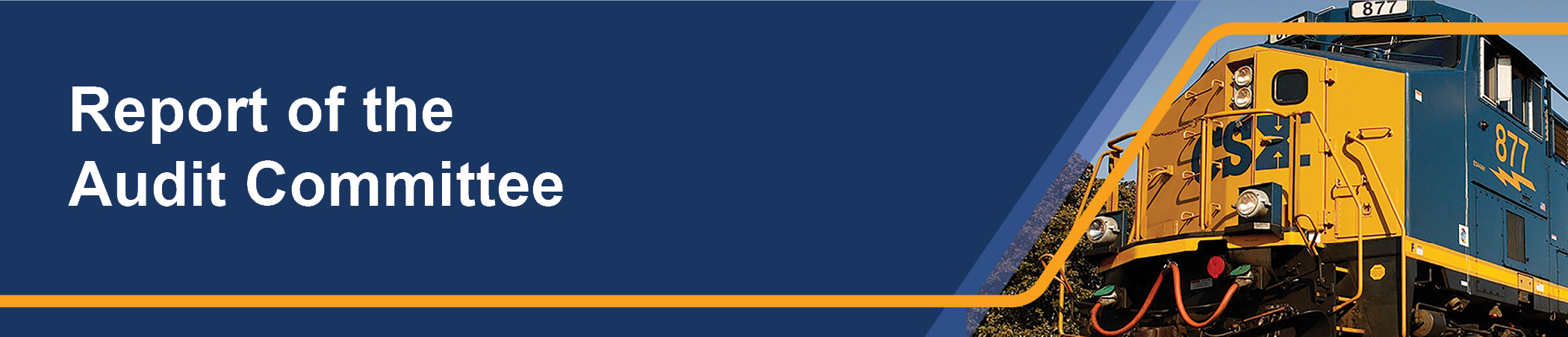 02__T1_banner-Report of the Audit Committee.jpg