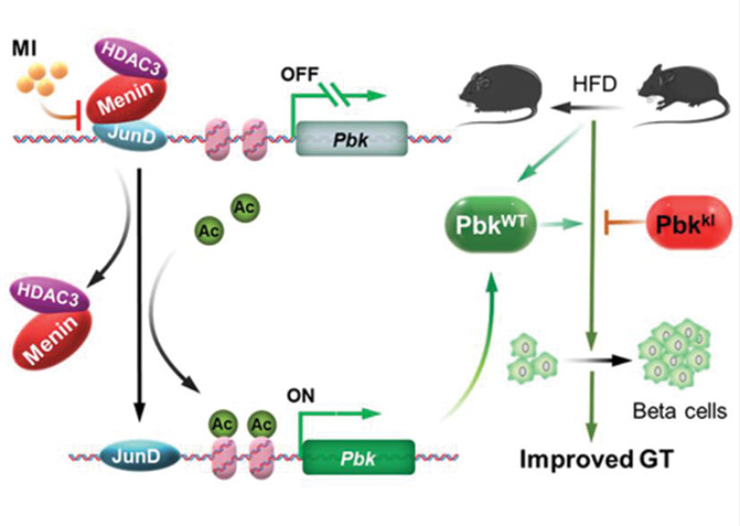 [MISSING IMAGE: fc_figure02-4clr.jpg]