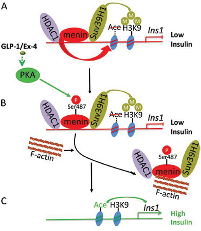 [MISSING IMAGE: fc_figure03-4clr.jpg]