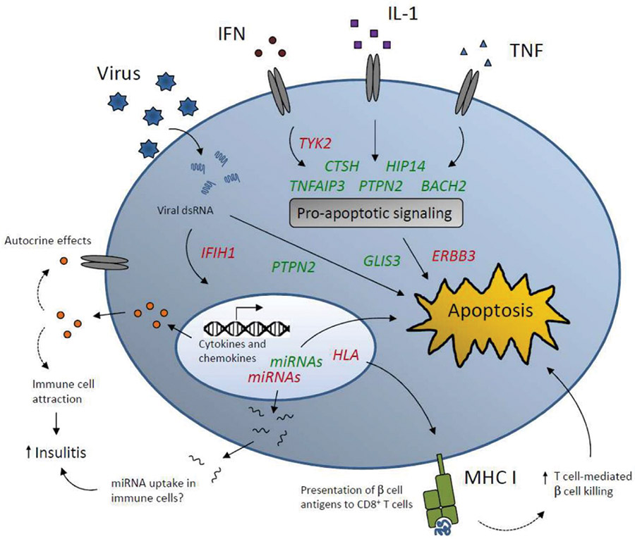 [MISSING IMAGE: fc_figure08-4clr.jpg]