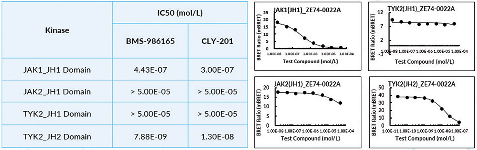 [MISSING IMAGE: fc_figure09-4clr.jpg]