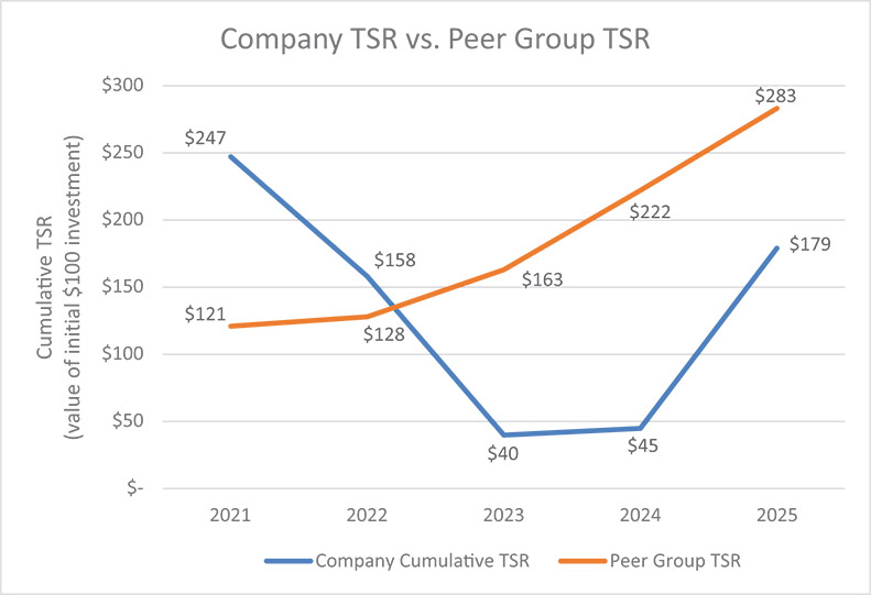 [MISSING IMAGE: lc_tsrvspeergroup-4c.jpg]