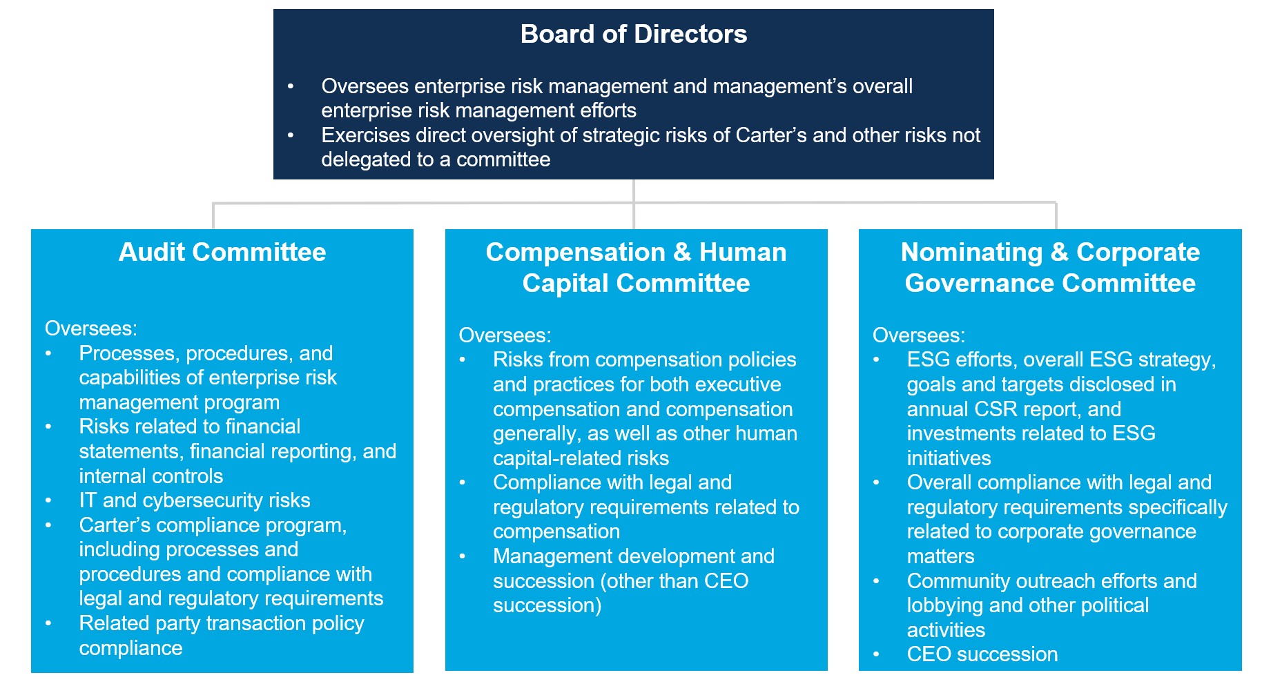 Risk Oversight Overview.jpg
