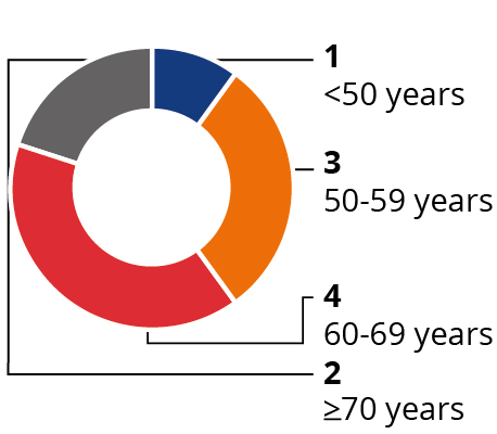 03_IPG Photonics_pie_boardsnapshot_age.jpg