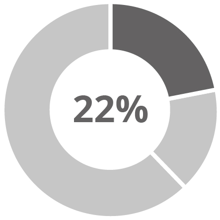 03_IPG Photonics_pie_compensation_other NEOs_salary.jpg