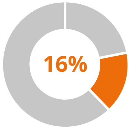 03_IPG Photonics_pie_compensation_other NEOs_annual.jpg