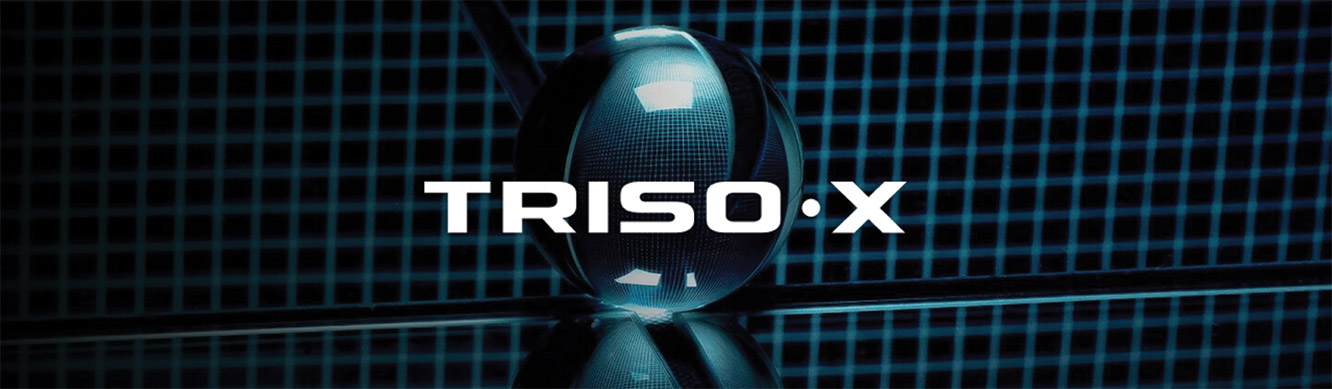 [MISSING IMAGE: ph_trisox-4clr.jpg]