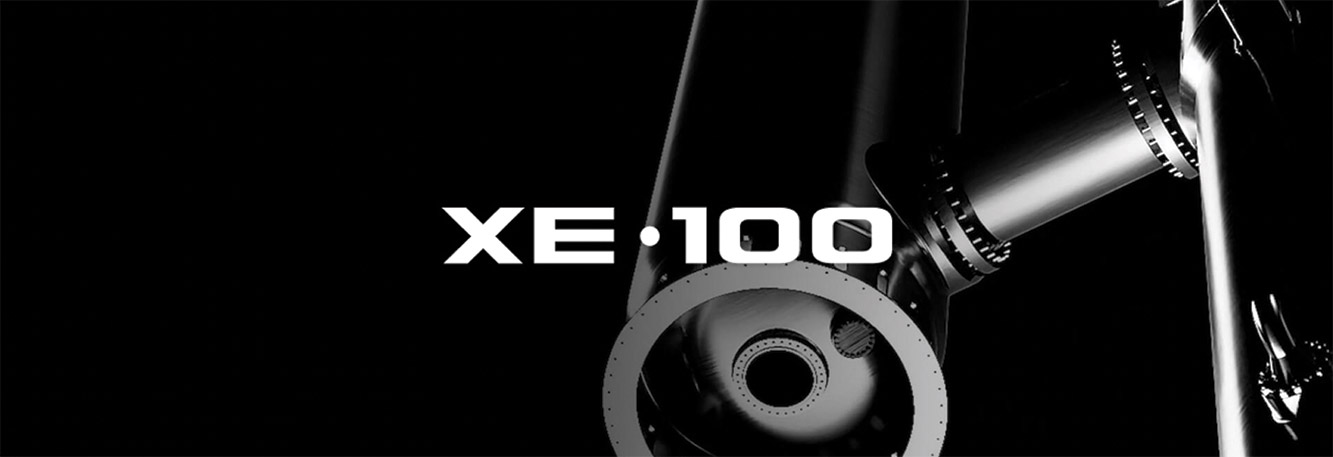 [MISSING IMAGE: ph_xe100-bwlr.jpg]