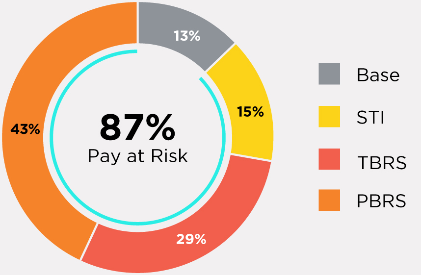 03 PRO013611_pie_pay mix_current NEOs.jpg