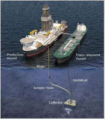 [MISSING IMAGE: pht_nodulecollection-4clr.jpg]