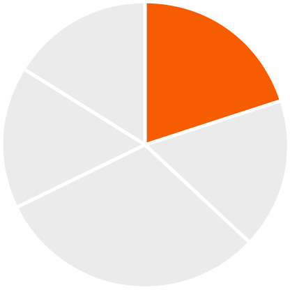 03_Zoetis_chart_Compensation Mix NEO_20%.jpg