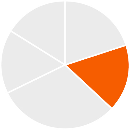 03_Zoetis_chart_Compensation Mix NEO_17%.jpg