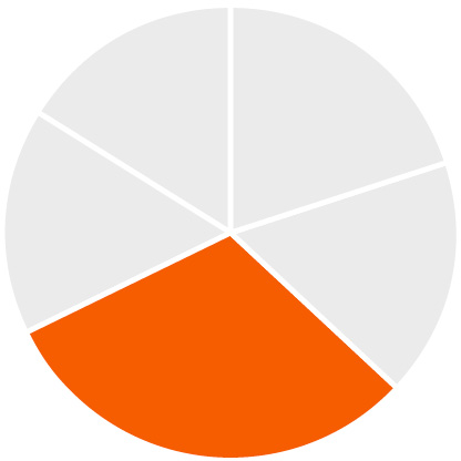 03_Zoetis_chart_Compensation Mix NEO_31%.jpg