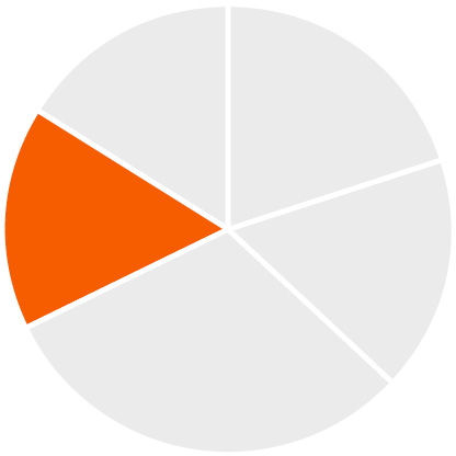 03_Zoetis_chart_Compensation Mix NEO_16%A.jpg