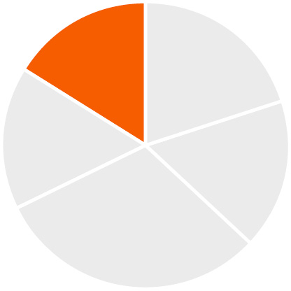 03_Zoetis_chart_Compensation Mix NEO_16%B.jpg