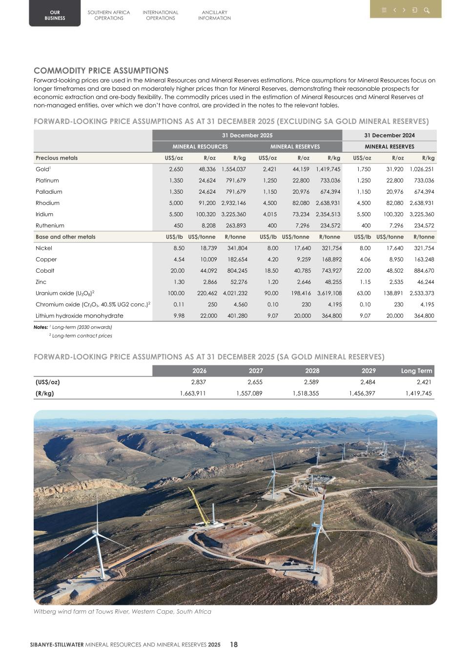 4.  20F Mineral Reserves & Resources supplement SEC Final021.jpg