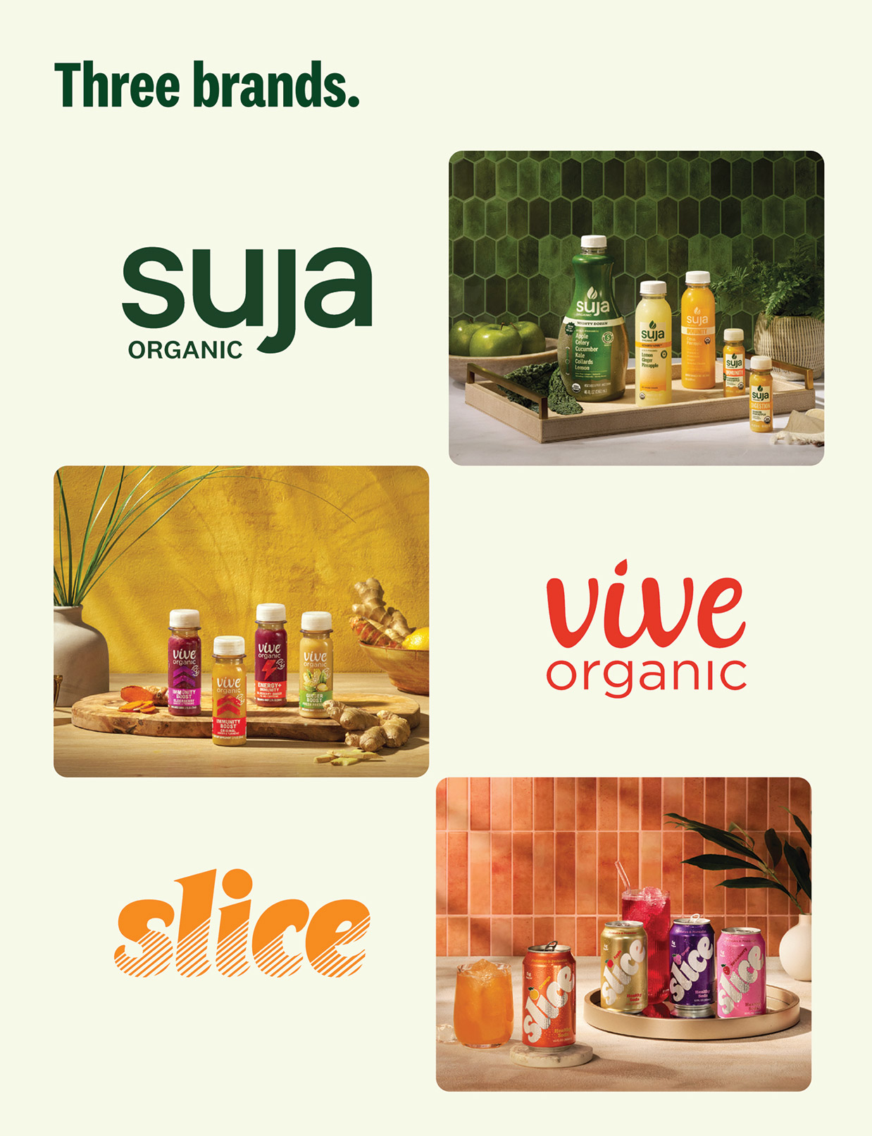 [MISSING IMAGE: pg_productfamilies-4c.jpg]