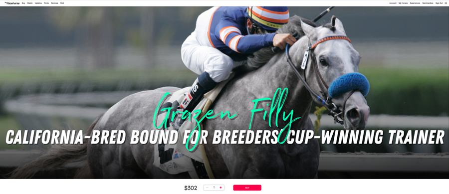 A jockey riding a horse

AI-generated content may be incorrect.