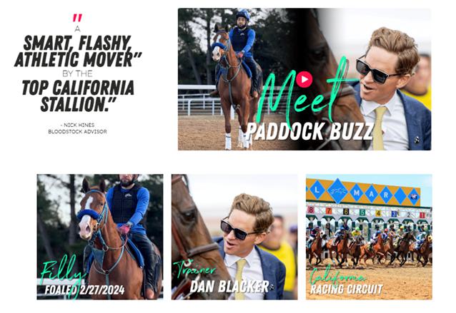 A collage of images of a person riding a horse

AI-generated content may be incorrect.