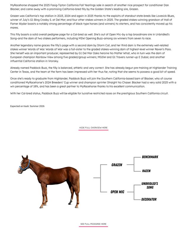 A horse standing in front of a text

AI-generated content may be incorrect.