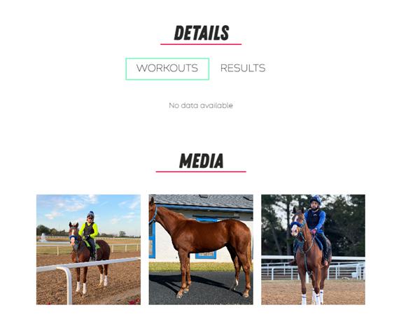 A collage of images of people riding horses

AI-generated content may be incorrect.