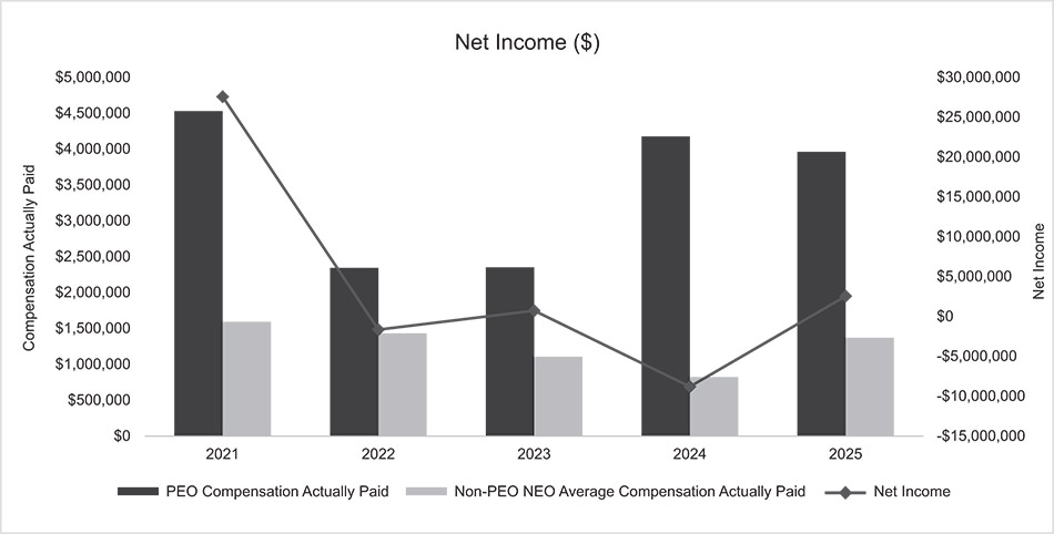 [MISSING IMAGE: bc_netincome-bw.jpg]