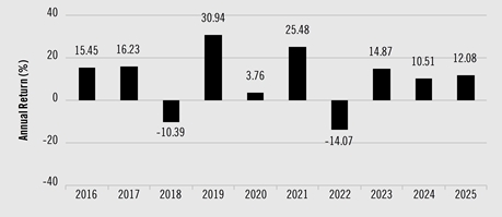 PerformanceBarChartData(2016:15.45,2017:16.23,2018:-10.39,2019:30.94,2020:3.76,2021:25.48,2022:-14.07,2023:14.87,2024:10.51,2025:12.08)